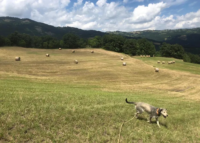 Panzió B &b C'era Volta *