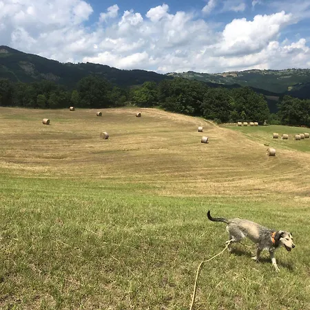 ベッド・アンド・ブレックファスト B &b C'era Volta *